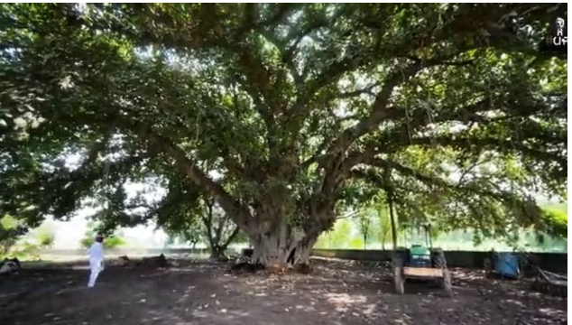 Performing Shraadh rituals with Shraddha and devotion